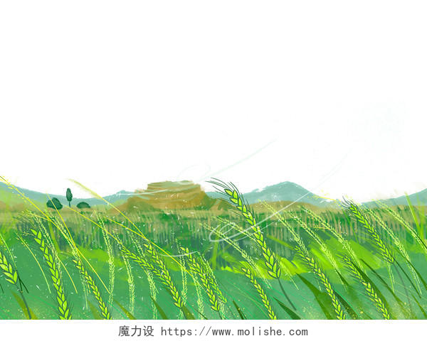 绿色手绘卡通麦子水稻稻穗稻田农田丰收小满芒种元素PNG素材